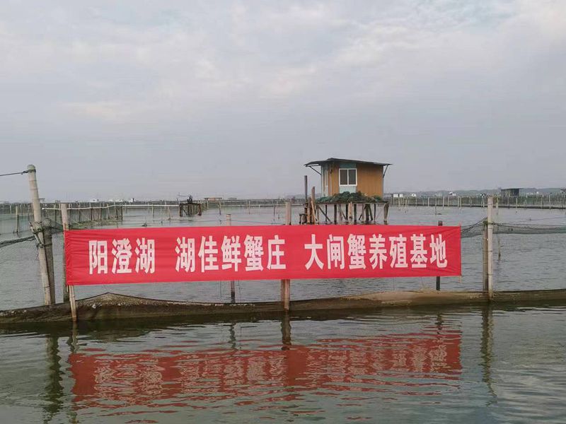 莲花岛农家乐湖佳鲜蟹庄养殖基地