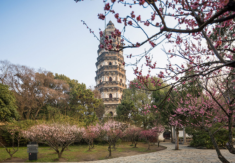 虎丘