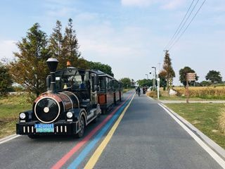 莲花岛北码头小火车.jpg