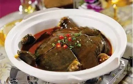 甲鱼.jpg