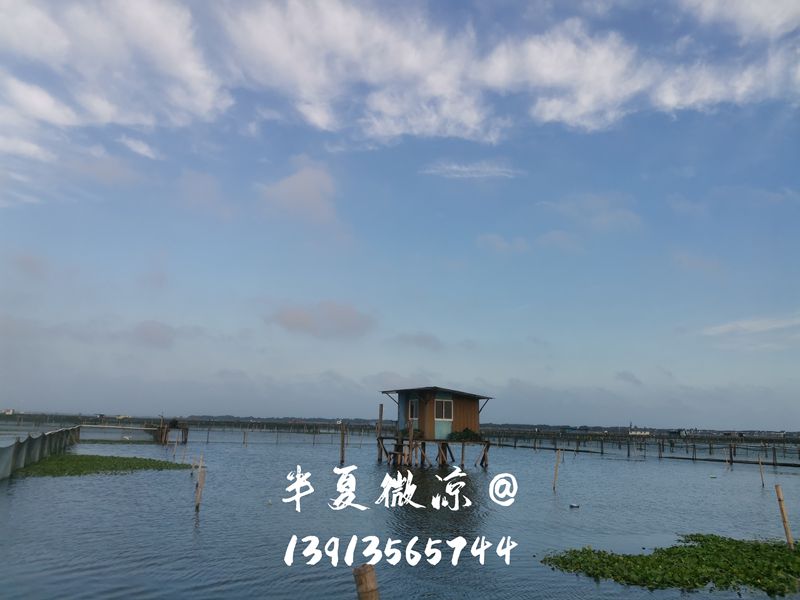 蟹池远景.jpg