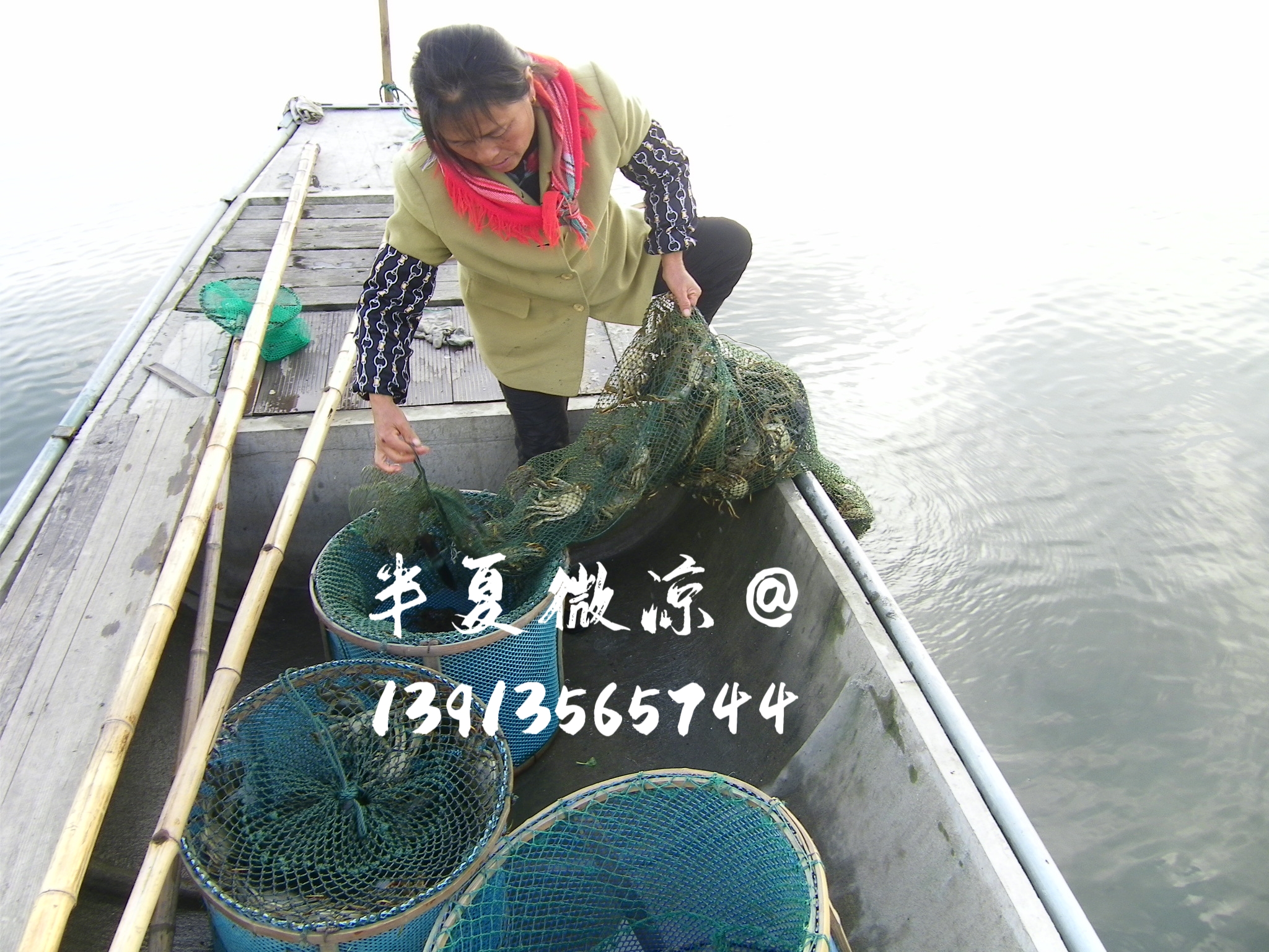 抓蟹地笼