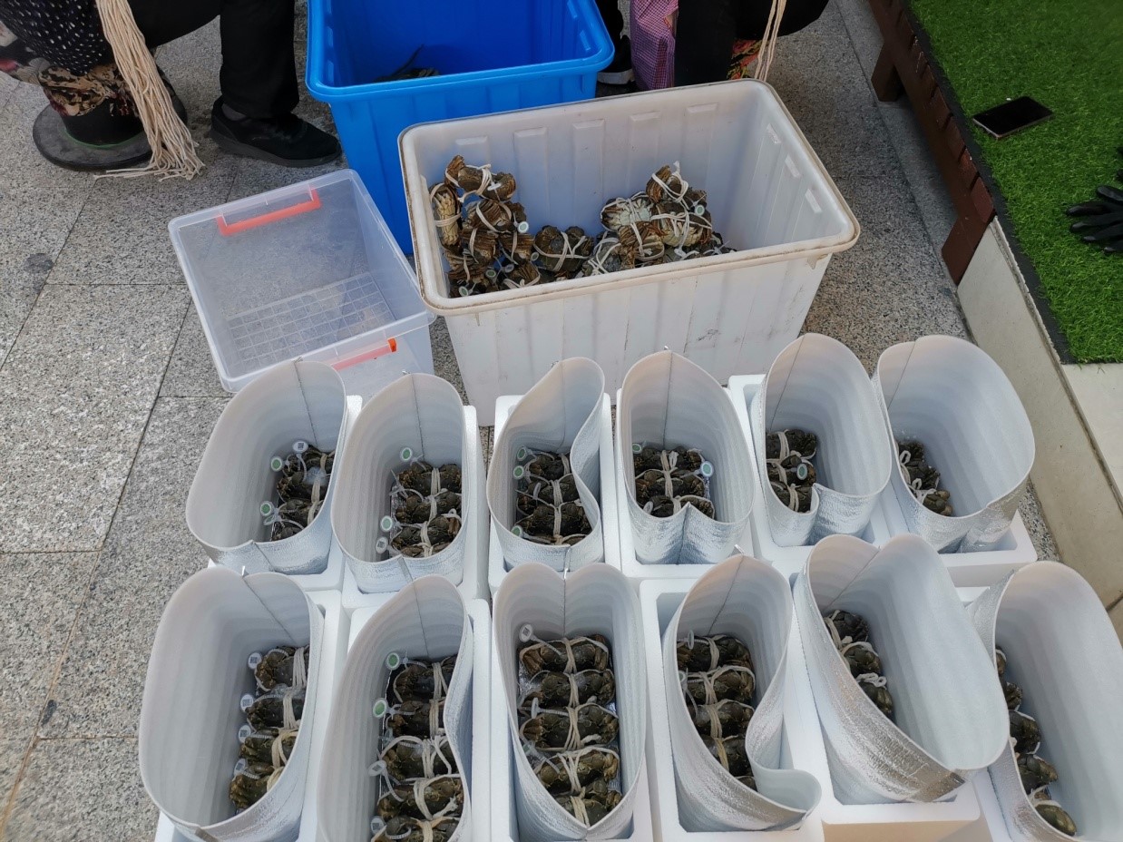 阳澄湖大闸蟹礼盒1.jpg