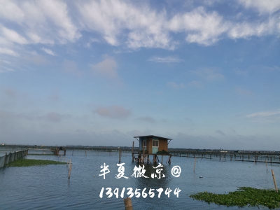 蟹池远景