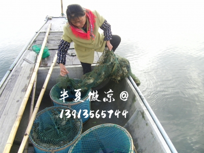 抓蟹地笼