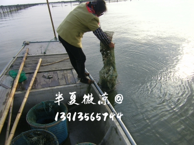 地笼出水