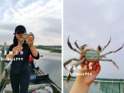阳澄湖蟹