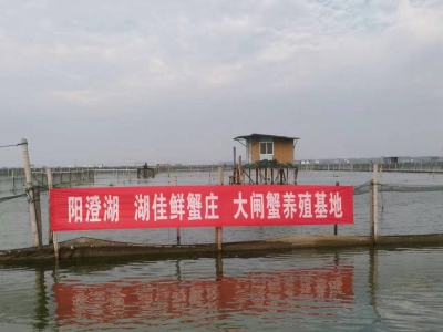养殖基地